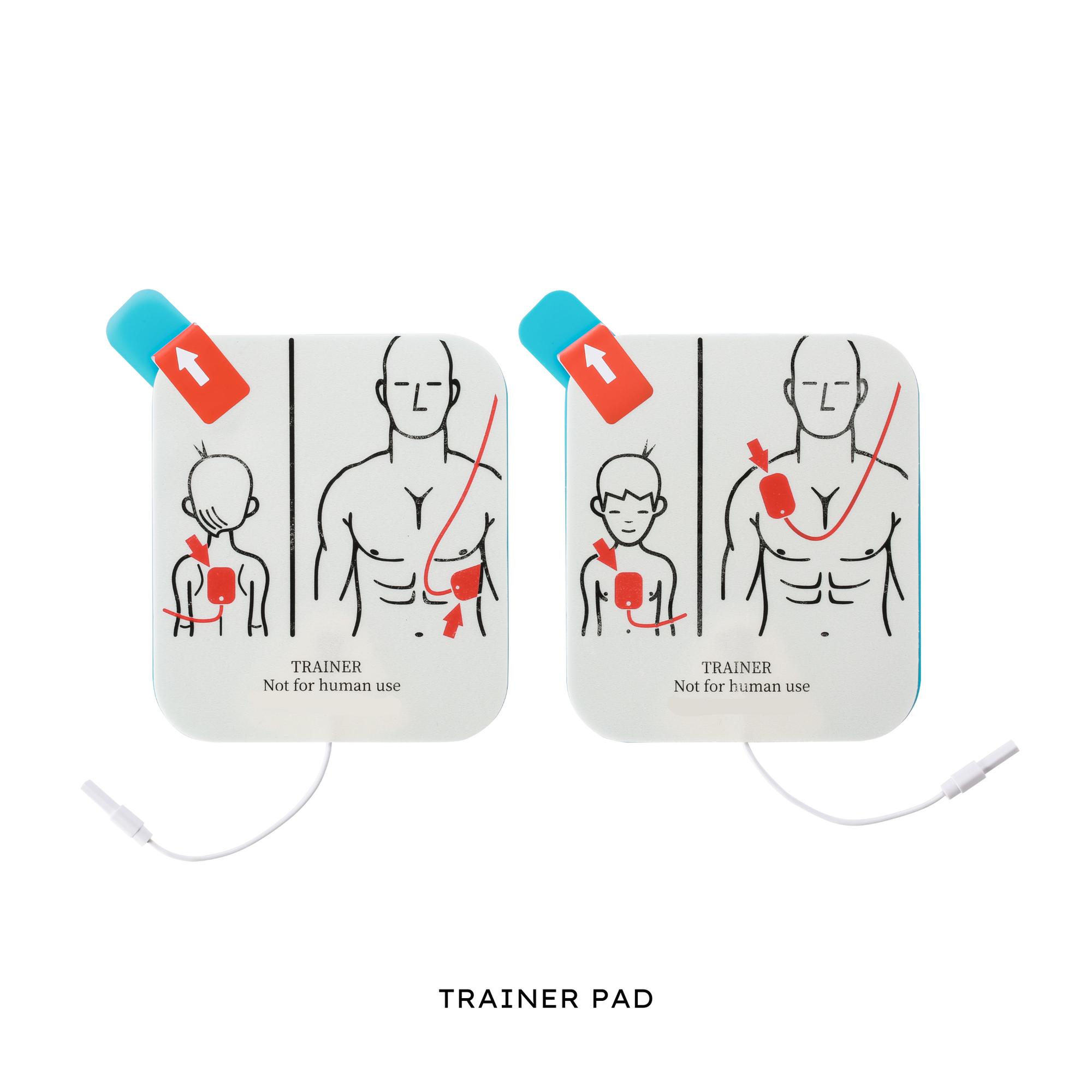 VIVEST Trainer Automated External Defibrillator (AED) Powerbeat X3