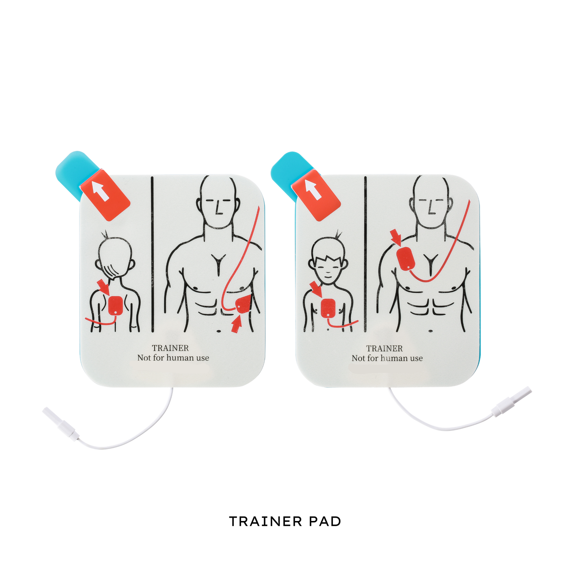VIVEST Automated External Defibrillator (AED) Accessories – GHGOUTLET